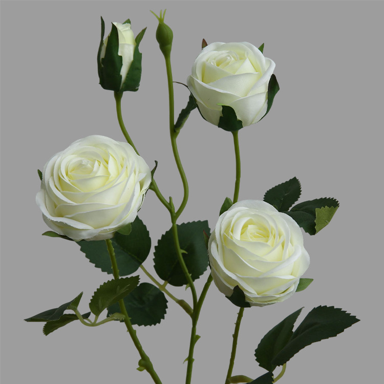 Blanc