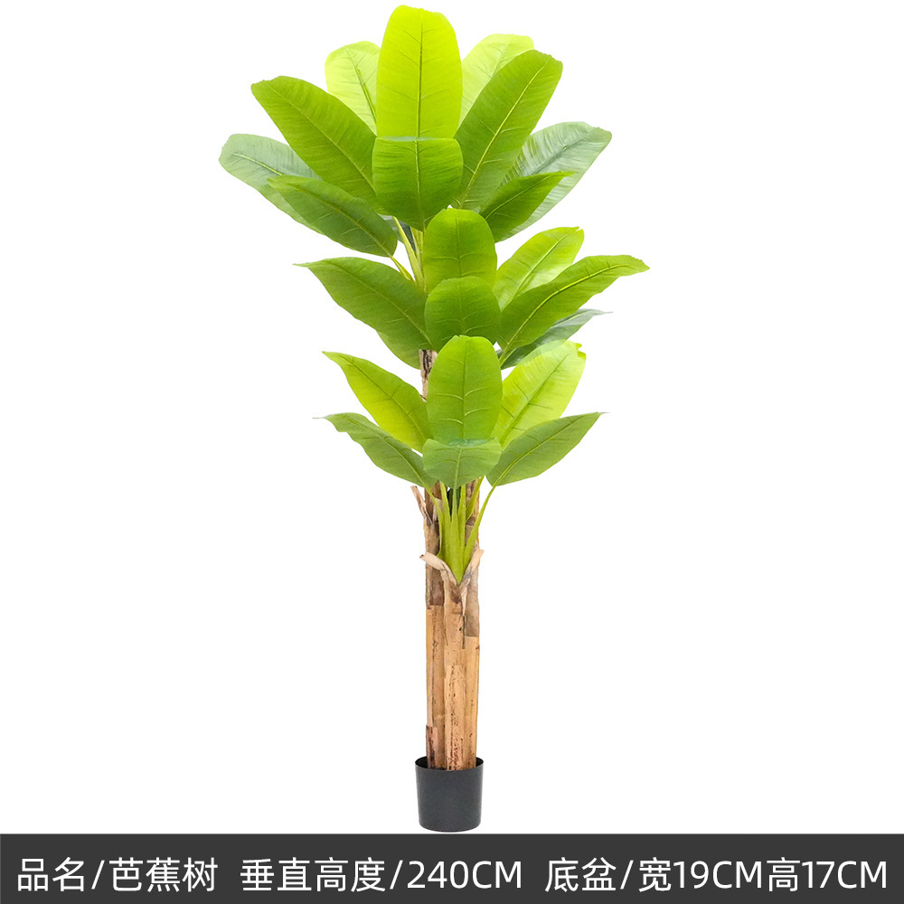 240cm/Three-Branch Banana Tree,