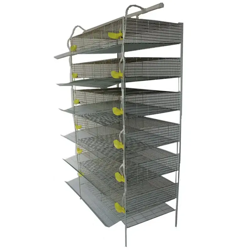 Layer Quail Cages For South Africa,Plastic Quail Cage Farming Equipment