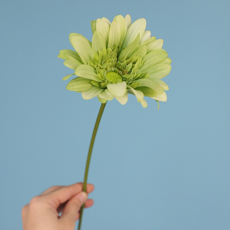 Verde