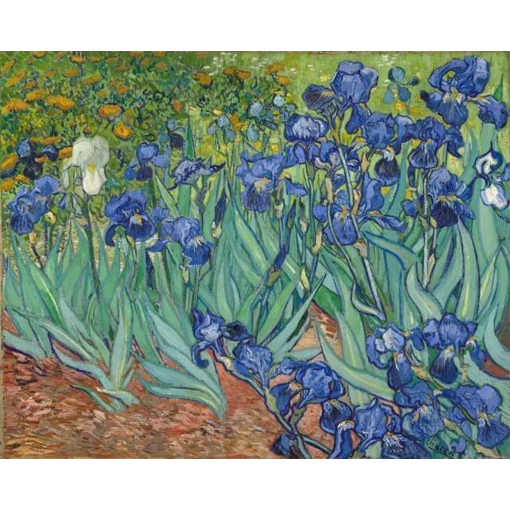 Iris dans la terre