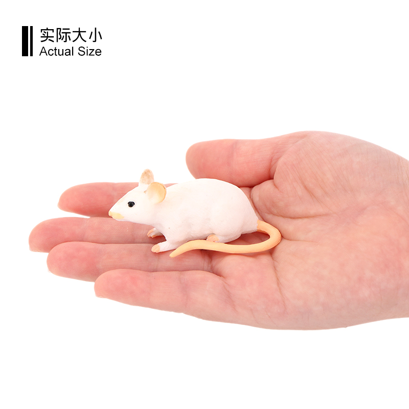 3290 Ratón blanco