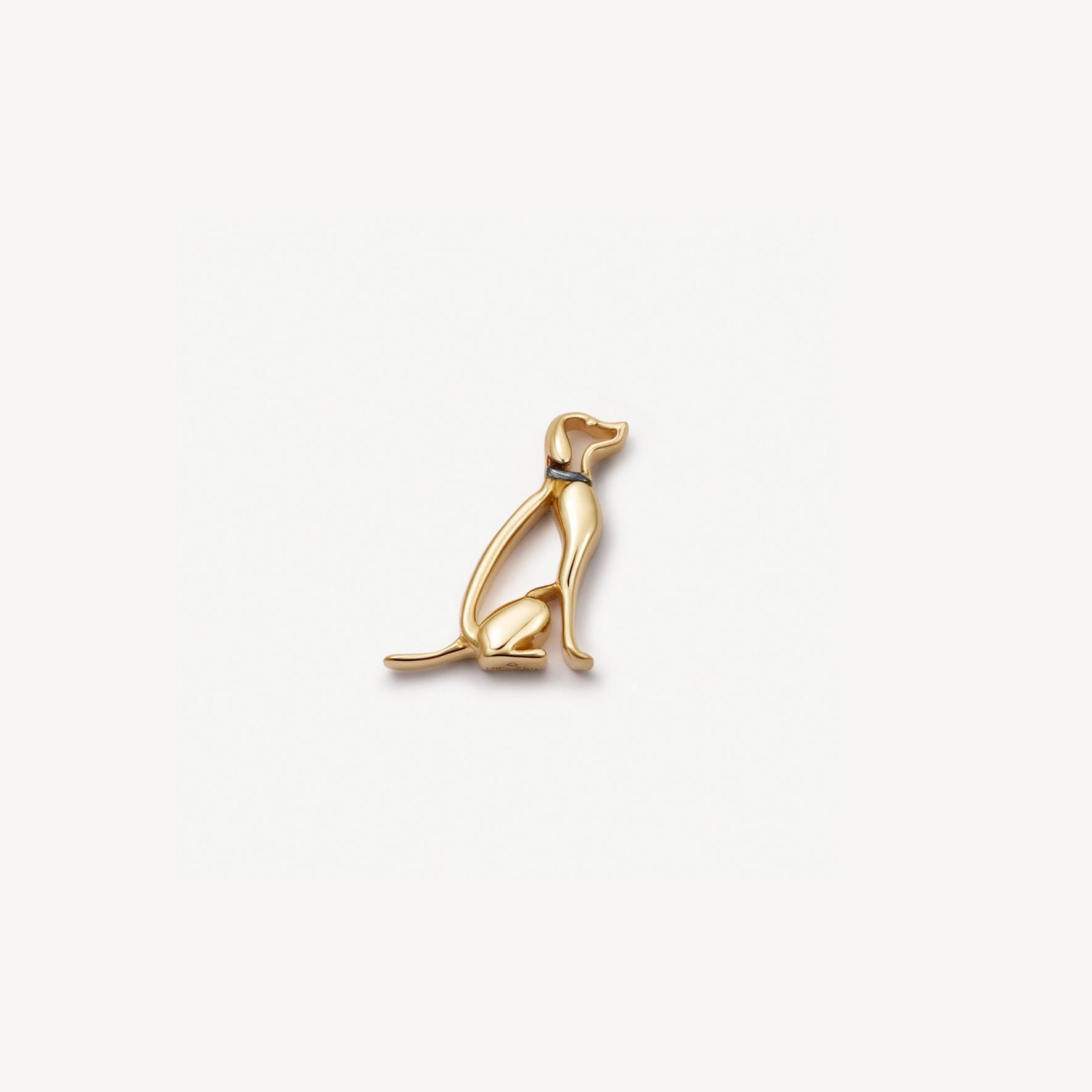 Puppy accessory gold