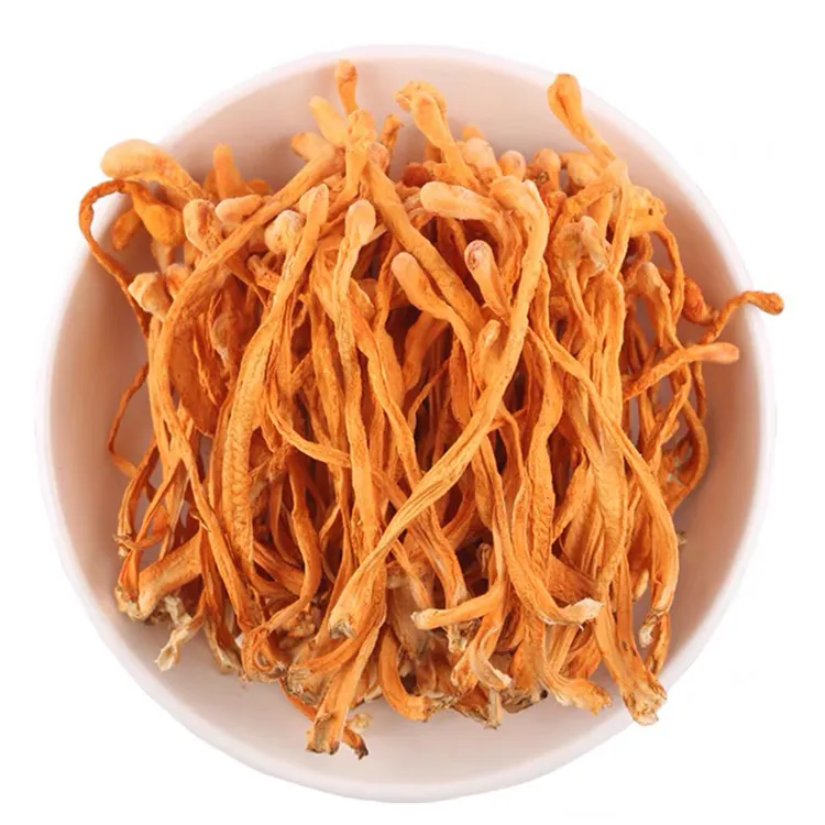 Cordyceps Militaris मशरूम सबसे अच्छी कीमत उच्च Cordycepin कार्बनिक सूखे Cordyceps Militaris बड़ा बीजाणु सिर