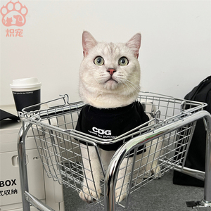 Teddy Bichon Trendy Inu Trendy Pet giyim yüksek kalite yaz rahat ceket büyük XL kediler köpekler için basit tarzı Polyester yapılmış - Product Image 1