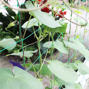 Impianto di rete a traliccio in plastica HDPE portatile per rete rampicante di supporto per frutta e verdura in serra - Product Image 3