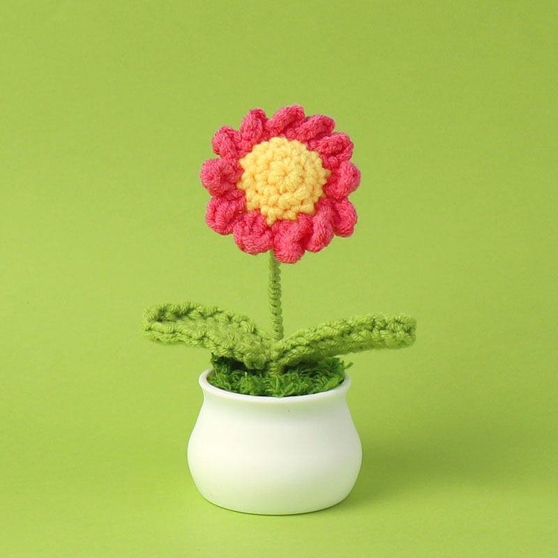 Red & Yellow Daisy
