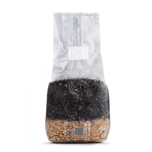 6 LB Polypropylene chất liệu lionsmane nấm phát triển <span class=keywords><strong>spawn</strong></span> túi với Tự Chữa Bệnh tiêm cổng - Product Image 1