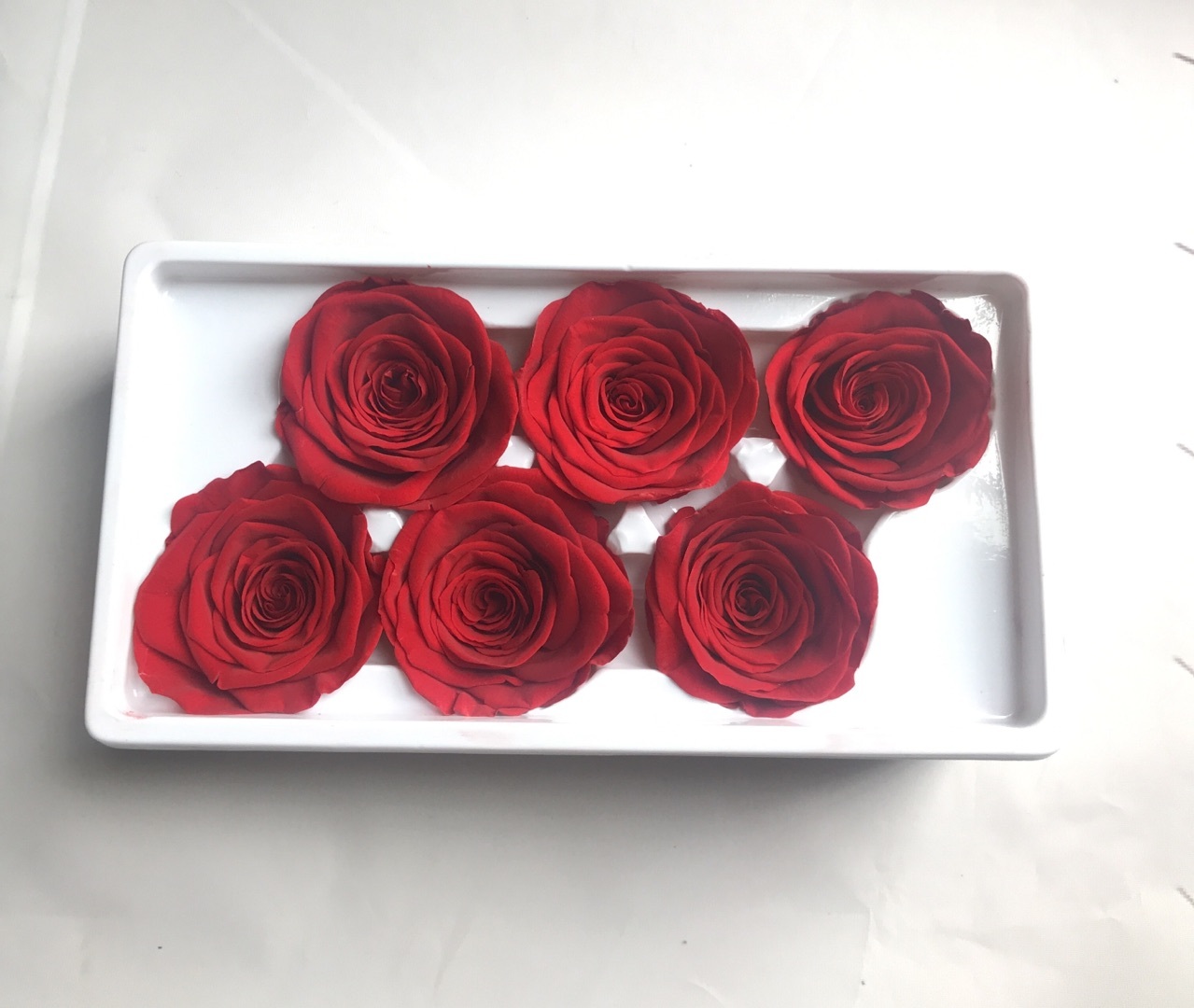 Rojo