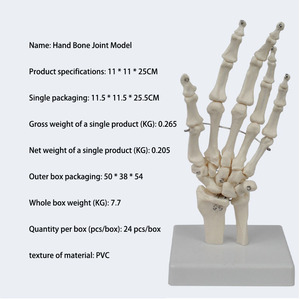 2025 New KRC Production PVC Hand Skeleton Model Teaching Anatomical Hand Joint Custom Made Artificial Life-Size <strong>Human</strong> Hand Joint - Product Image 6