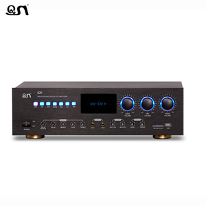 Amplificador de Karaoke de entrada de micrófono de dos canales de alta calidad, 2 terminales de salida de señal, altavoz de Material metálico de gama alta a bajo precio - Product Image 2