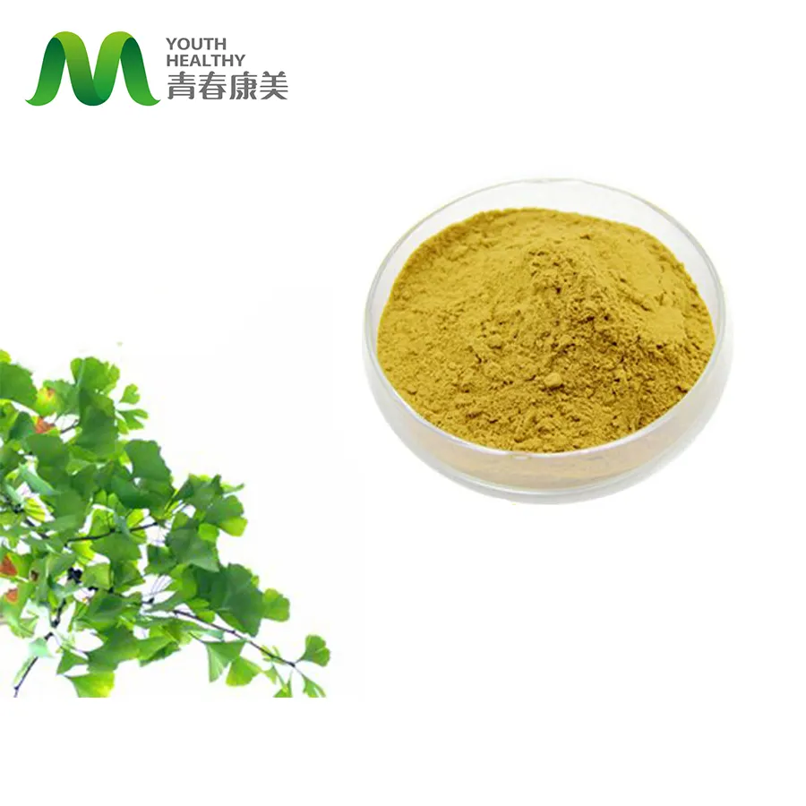 Bubuk Ekstrak Daun Ginkgo Biloba Organik 24% Flavone Glikosim