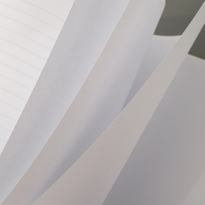 สมุดบันทึกประจำวันพร้อมคำพูดที่สร้างแรงบันดาลใจและแจ้ง - Product Image 6