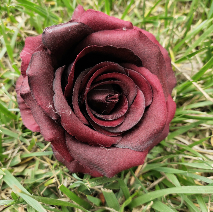 Vino rosso
