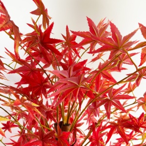 150cm人工カエデの木の家の装飾盆栽の木人工植物屋内庭の造園 - Product Image 4