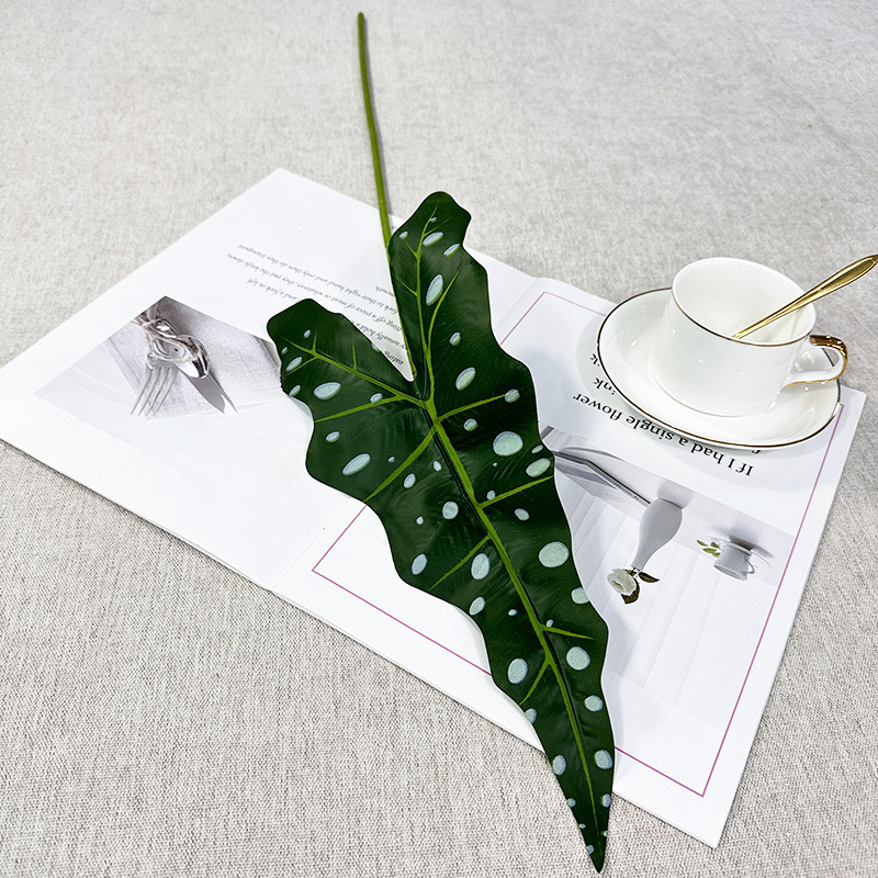 Seul calla lily avec des taches blanches et vert