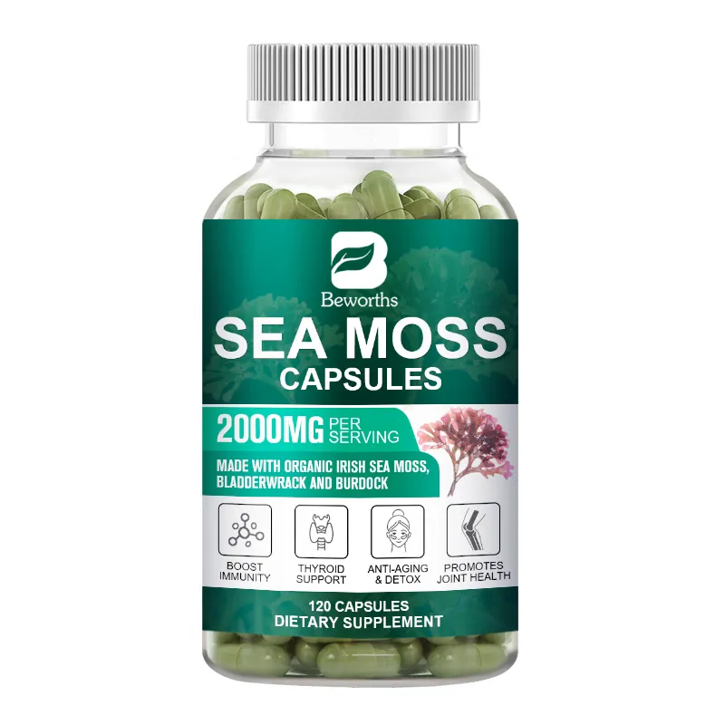 OEM Sea Moss Pill Seamoss Hard Capsules Rich in Vitamins for Skin Hair Health