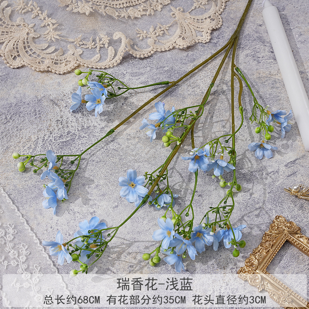 Dd-ruixianghua-azul claro