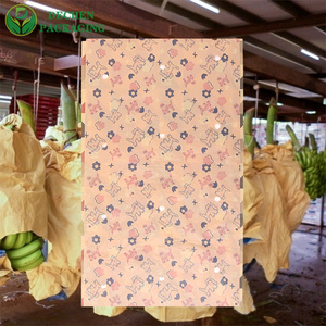 Fruit Cover Protection: Guava Fruit Protection Bag - Product Image 4