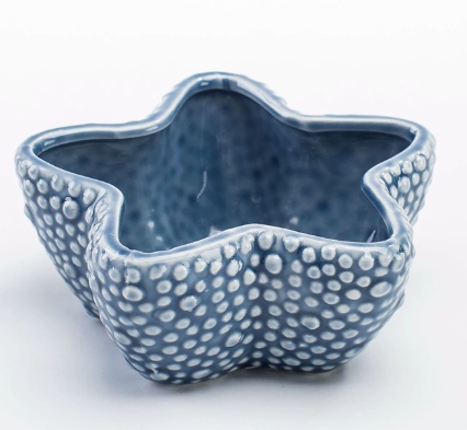 Bleu 11