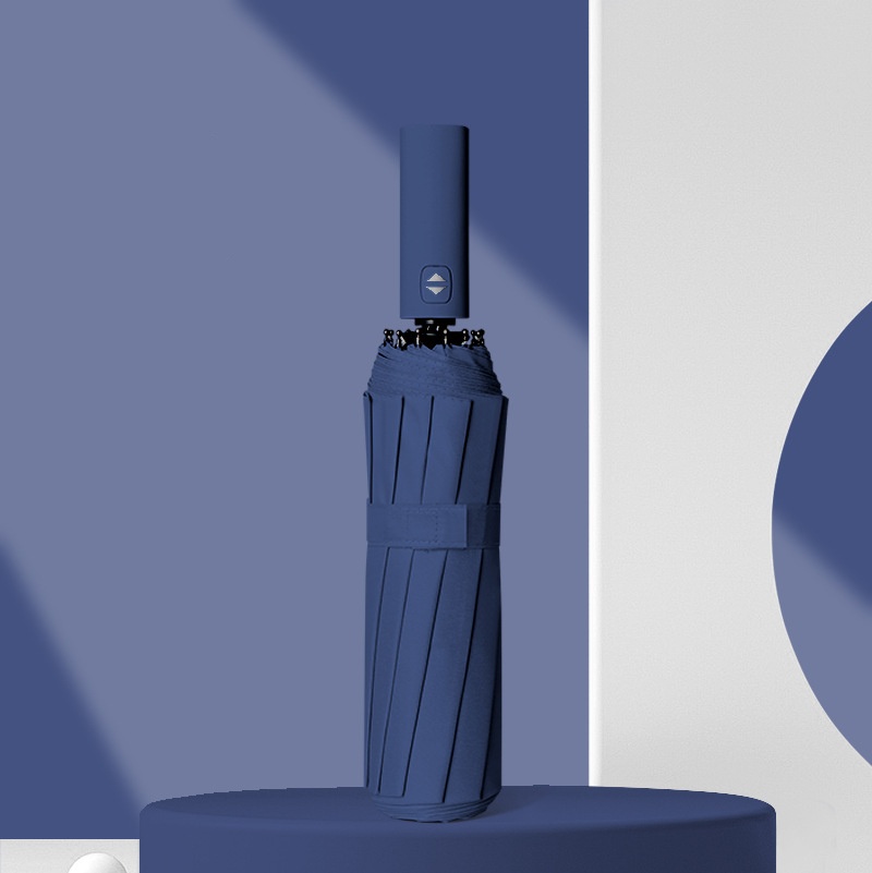 Bleu marine