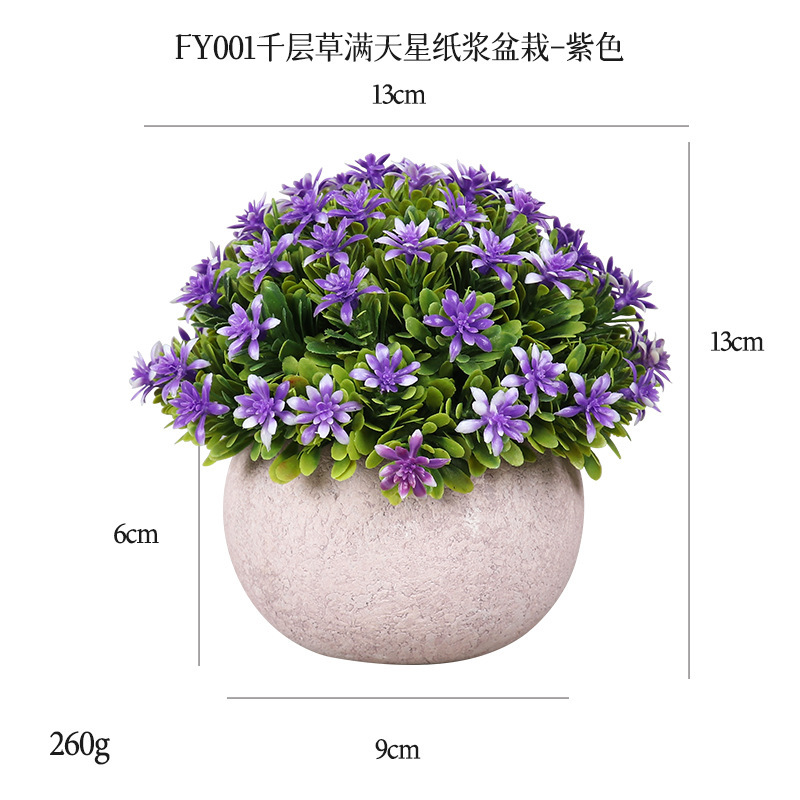Vert FY001 Étoile du ciel violet