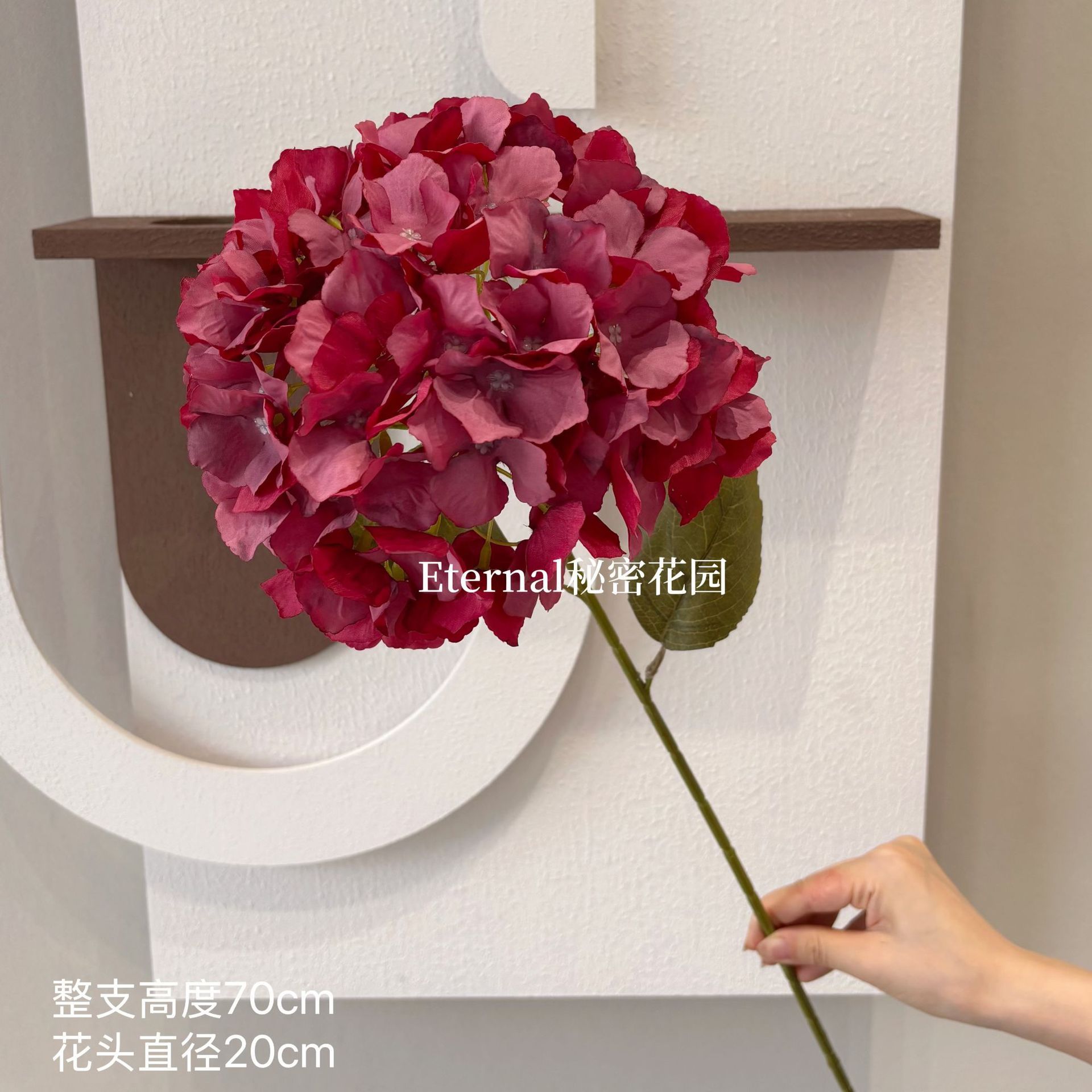 Hortensia rouge d'Alice