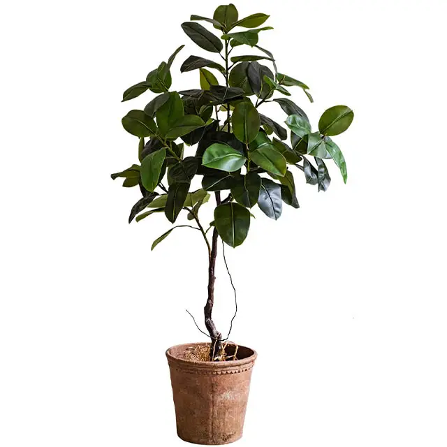 Indoor Fast Natur kautschuk blätter Kunststoff Blatt baum Bonsai Künstliche Baum pflanze Zum Verkauf