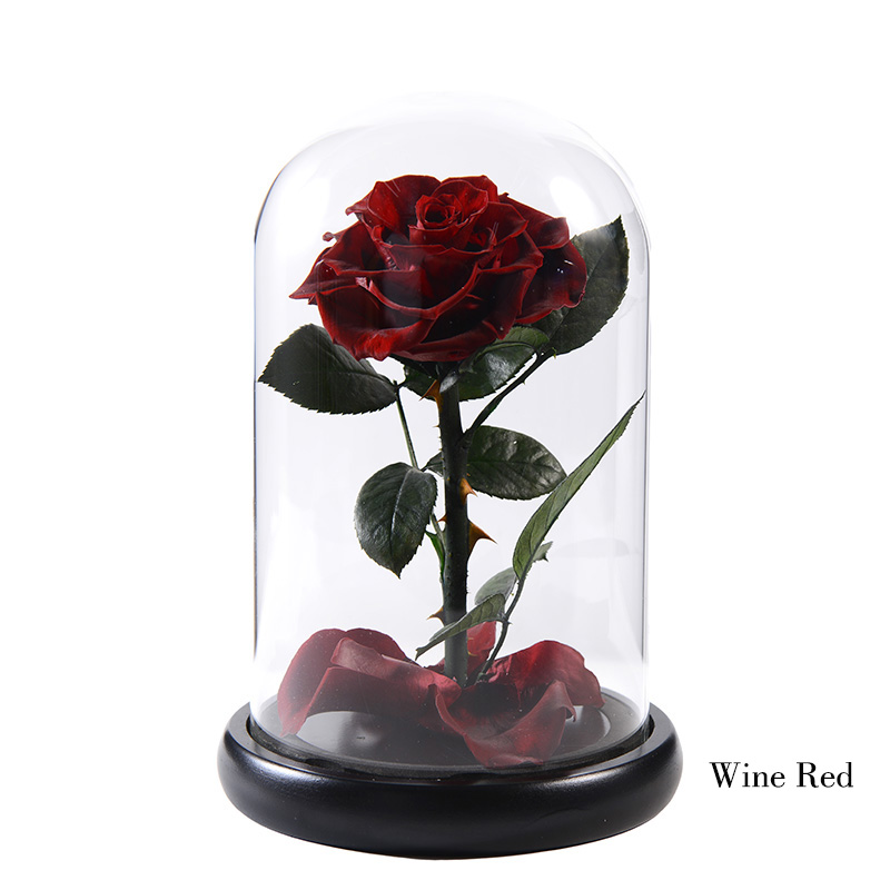 01 wine red