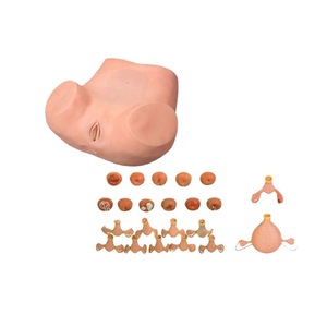 Medical Science Advanced Gynecological Examination Simulator Abnormal <strong>Palpation</strong> Practice Model for Medical School Class Use - Product Image 6
