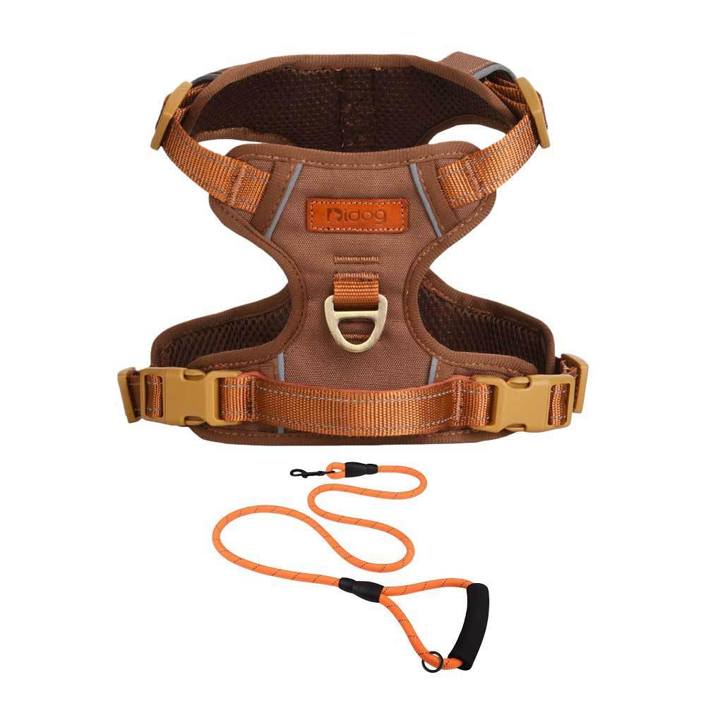 Costume marron