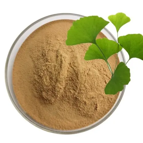 하이 퀄리티 은행 잎 추출물 분말 은행 나무 biloba 추출물 24% 맛 6% 락톤