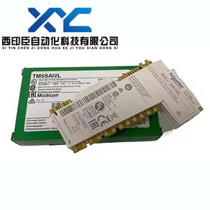 TM5SAI2PH TM5SAI2TH for Schneider <strong>Analog</strong> <strong>Input</strong> <strong>Module</strong> 100% Brand New and Original in Stock