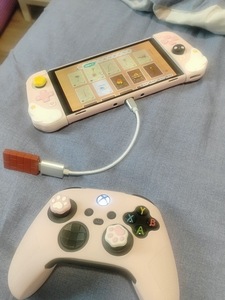 Adattatore USB Wireless 8Bitdo 2 per Switch, Windows, Mac e Raspberry Pi-compatibile con Xbox, controller PS5 - Product Image 4