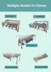<strong>Automation</strong> <strong>Sorting</strong> <strong>Machine</strong>/Multi-Function Vibrating Screen Sorter/High Precision Sorter - Product Image 3