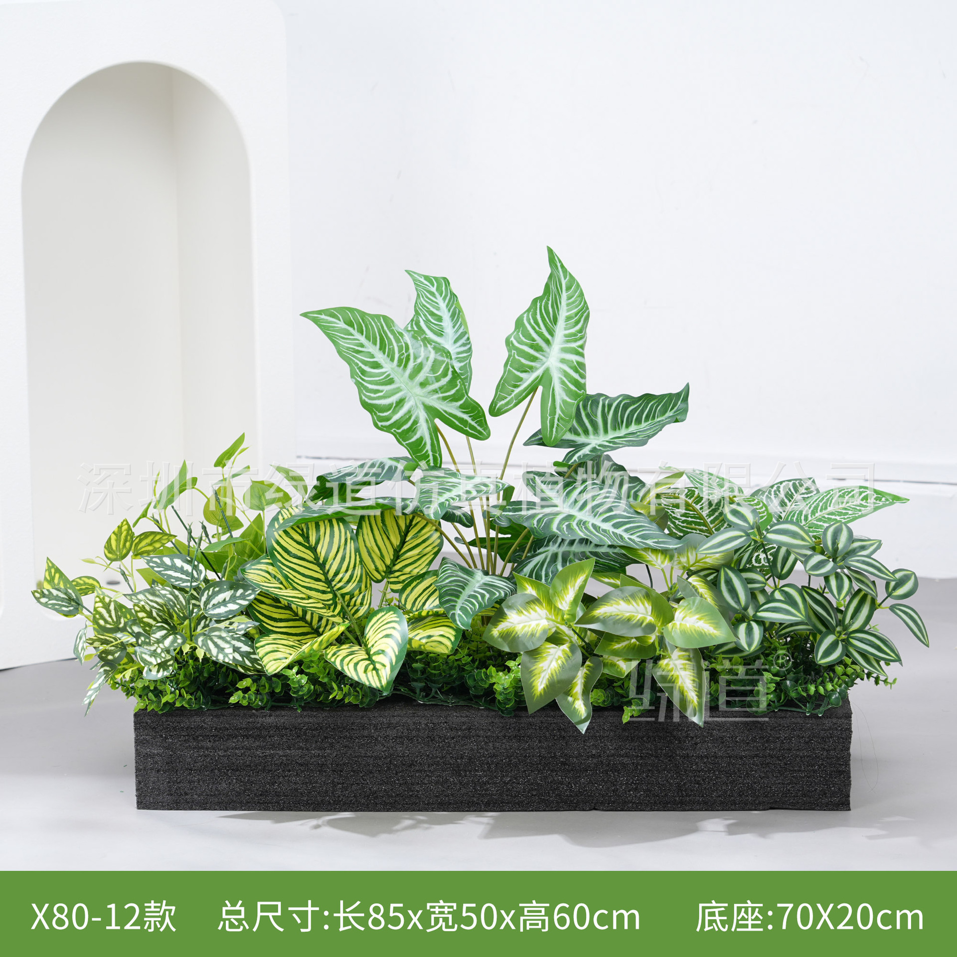 hc-X80-12 convient aux jardinières de 80 cm
