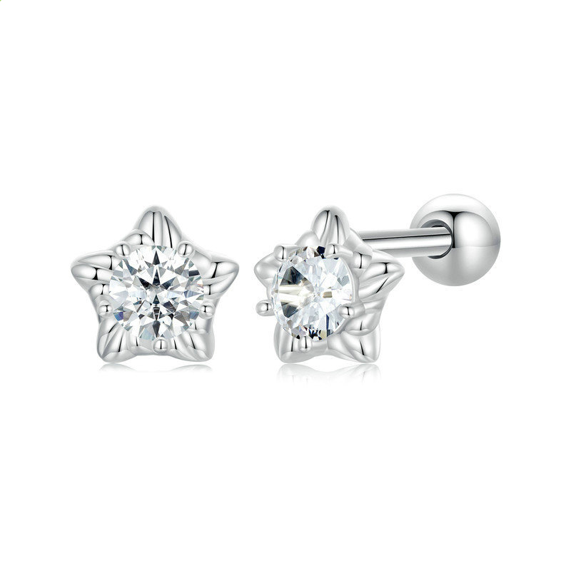 Earrings 12