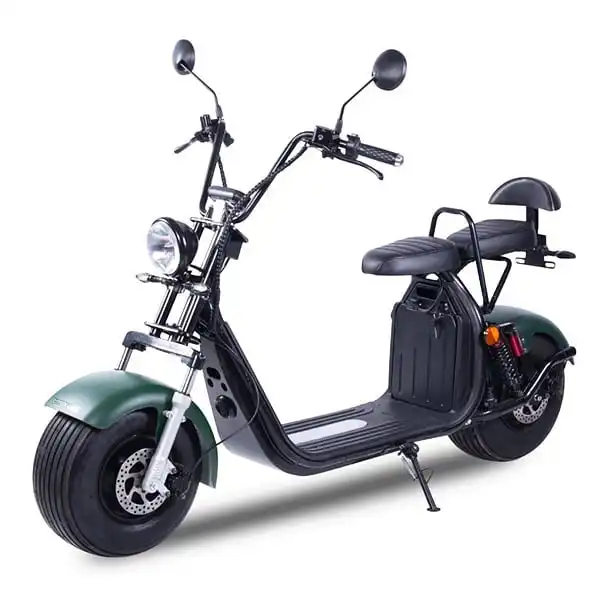 EEC 승인 전자 스쿠터 Citycoco 1500W 2 휠 지방 타이어 2 석 45 km/h 전자 오토바이