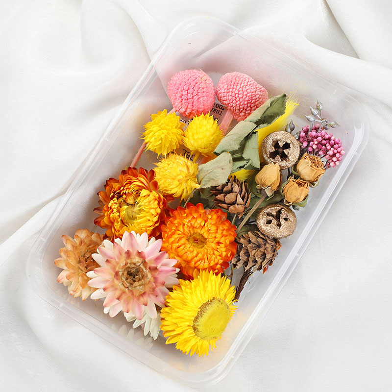 สีสัน-8
