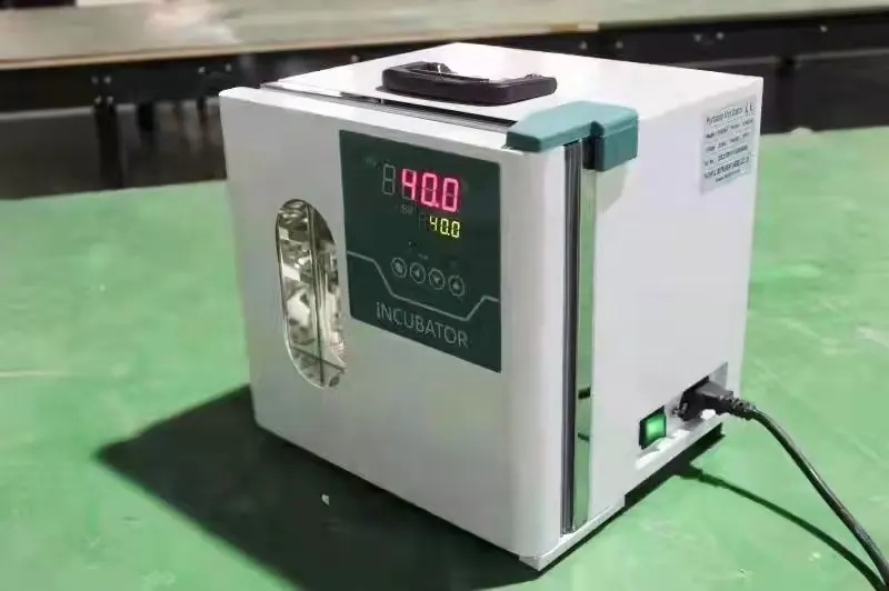 Laboratuvar mini inkübatör termostat bakteriyolojik inkübatör taşınabilir lab doğal konveksiyon kuluçka