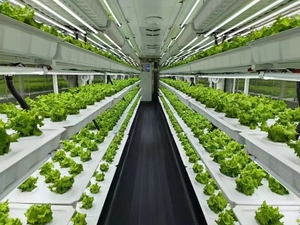 一解决方案智能控制40英尺集装箱农场种植室工厂 - Product Image 6