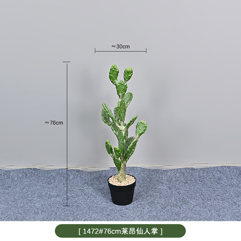 1472 #76cm cactus de leon