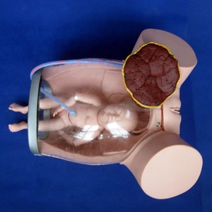 Bevalling Oefenpop Perineum Zorg Zwangere Vrouw Baby Levering Training Model - Product Image 3