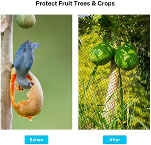 Polyethylene <strong>Mesh</strong> Anti Bird Netting for Agriculture and Garden Bird Netting