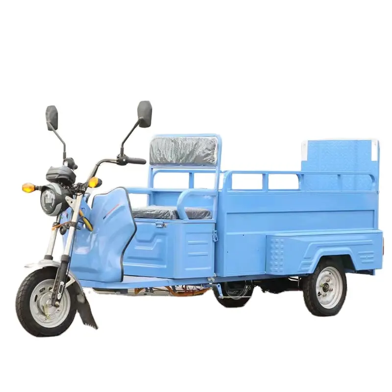 2024 New 3 Wheel Electric Motorcycle 500W 48V Electric Cargo Tricycle 3 Wheel Electric Bike Electric Cargo For Adults