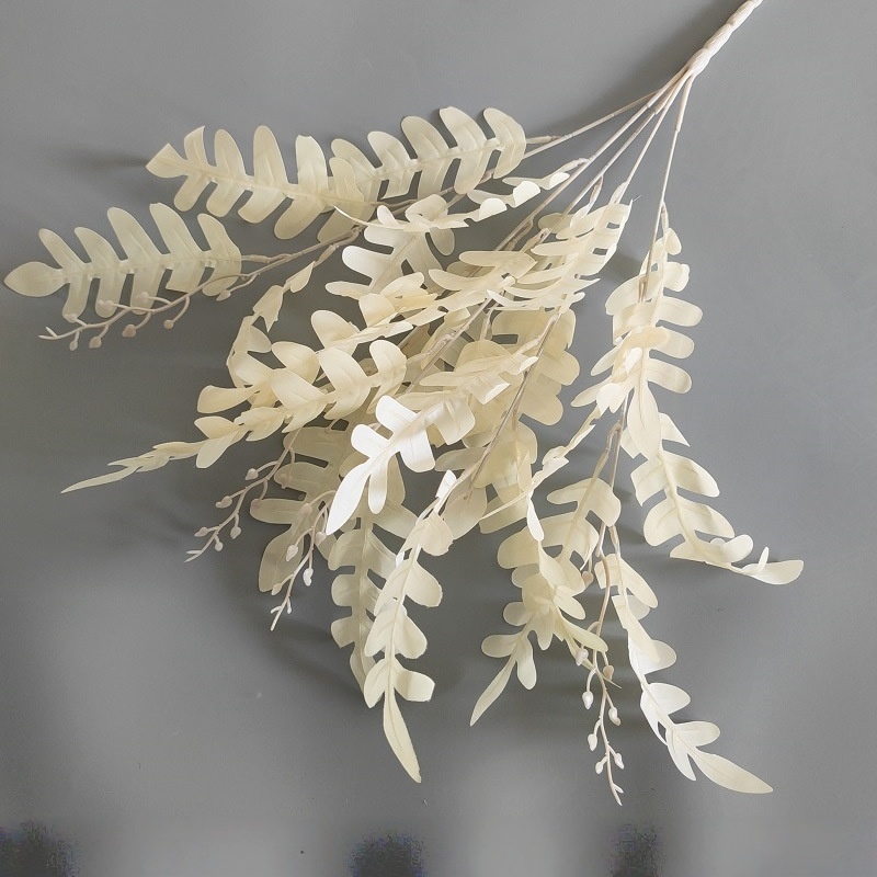 5 feuilles de criquet fourchues