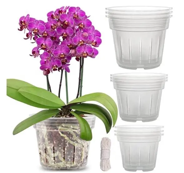 Confezione da 9 fioriera trasparente per orchidea Amazon confezione al dettaglio vaso per orchidee trasparente