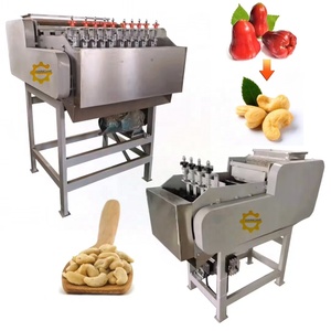 Full Automatic Cashew Nut Grading <strong>Sorting</strong> Boiling <strong>Shell</strong> Breaking Peeling Shelling Processing <strong>Machine</strong> - Product Image 2