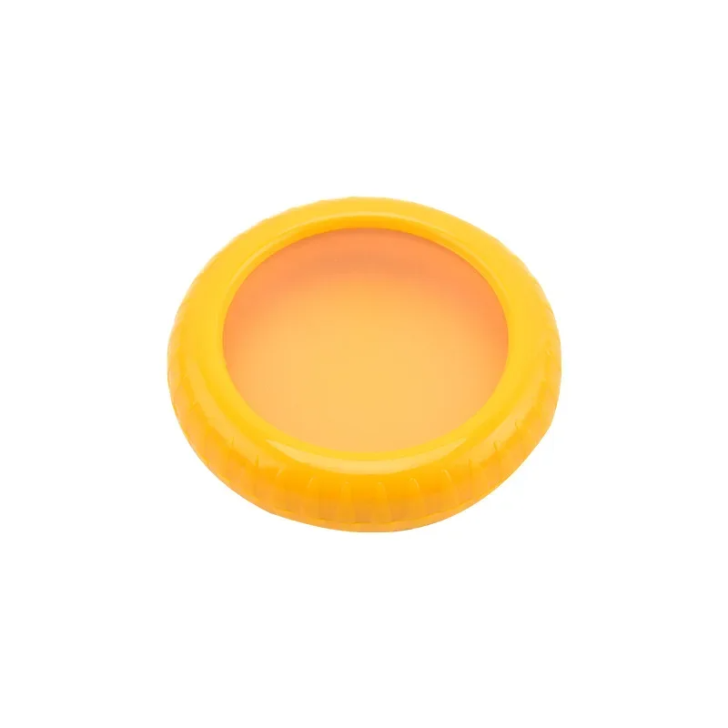 Lemon preservation box
