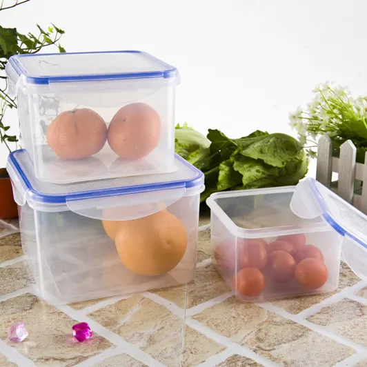 Penyimpanan Makanan Transparan Sekolah Penjualan Terbaik Wadah Makanan Plastik